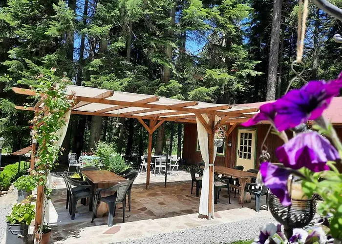 Villa Sveti Dimitar