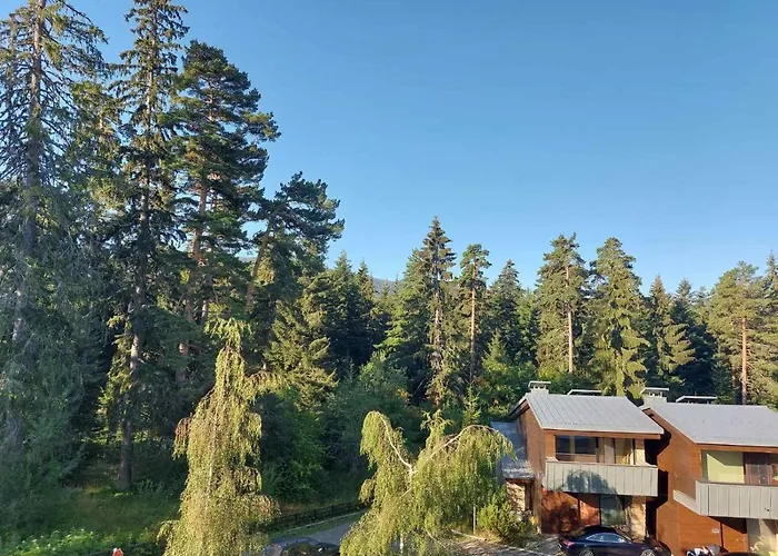 Residence E205 Euphoria Borovets